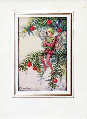 Yew Flower Fairy 1930's Vintage Print Cicely Barker Autumn Book Plate A034