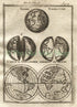 1719 Manesson Mallet World Map "Globe Terrestre; Carte ou Planisphere General du Monde" published by Johann Adam Jung
