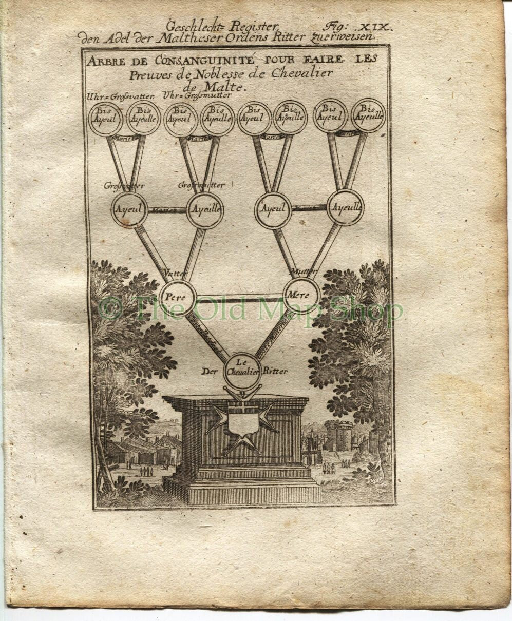 1719 Manesson Mallet Malta, Ancestral Tree, Knight Hospitaller of Malta, Proof of Nobility, Antique Print