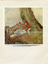 1925 Ida Rentoul Outhwaite Antique Fairy Print (Potty Talks to The Forest Creatures) Vintage Book Plate, from The Enchanted Forest