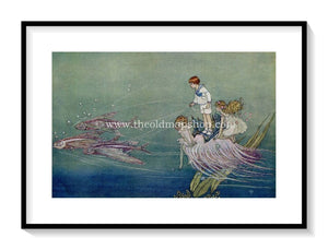 1921 Ida Rentoul Outhwaite Antique Fairy Print (Drawn By Fishes) Vintage Book Plate, from The Enchanted Forest