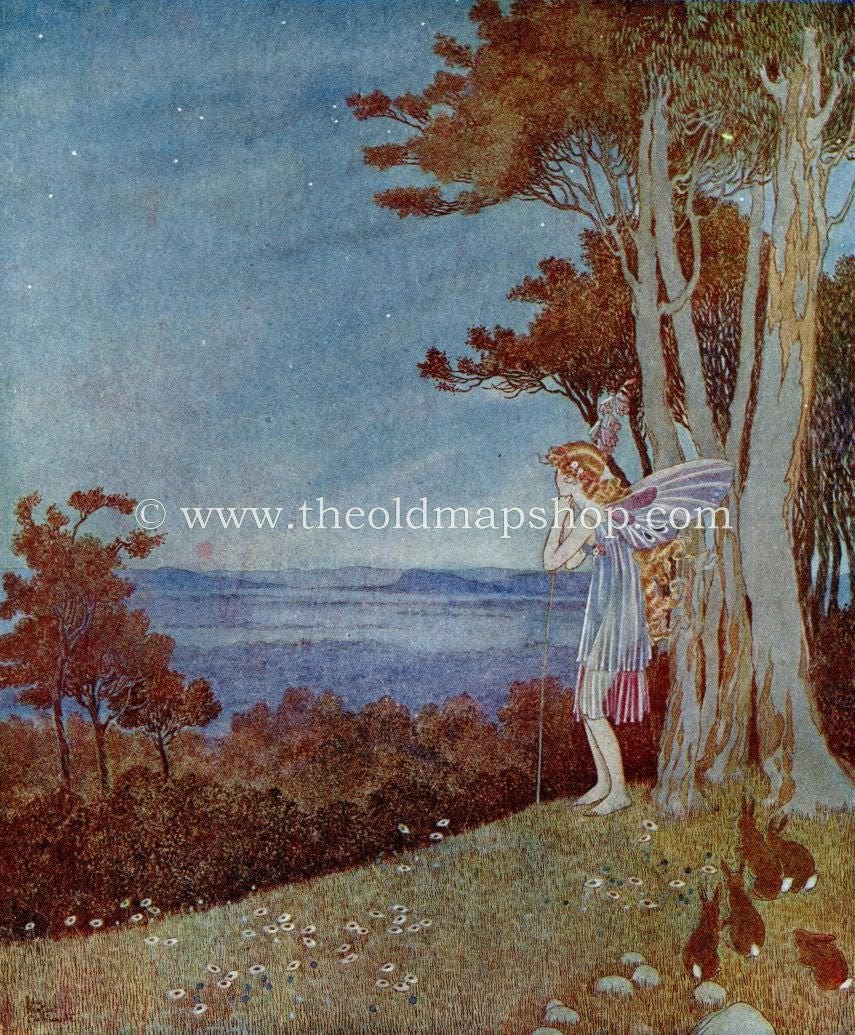 1925 Ida Rentoul Outhwaite Antique Fairy Print (Fairy Beauty Looking Over The Happy Valley) Vintage Book Plate, from The Enchanted Forest