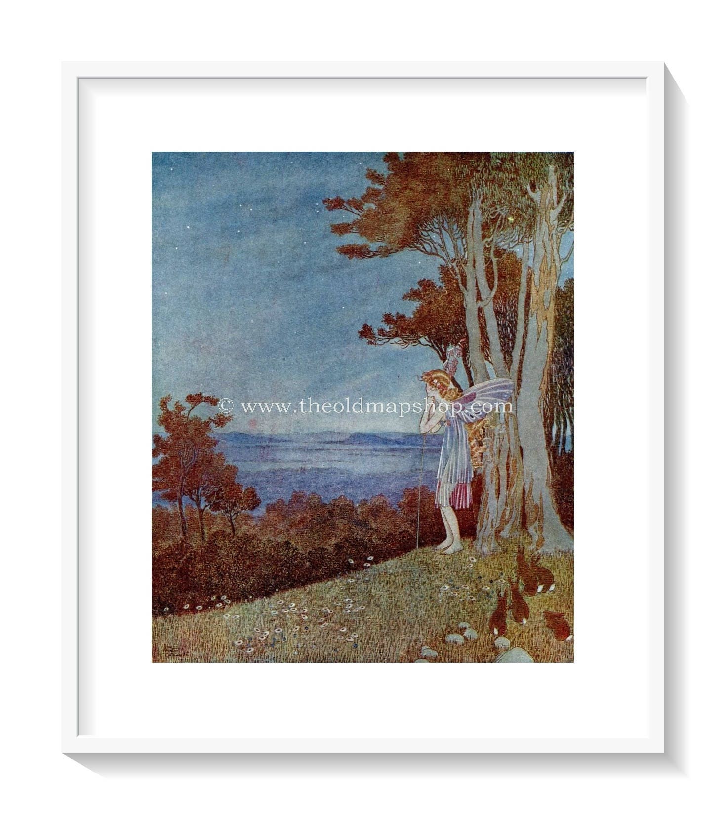 1921 Ida Rentoul Outhwaite Antique Fairy Print (Fairy Beauty Looking Over The Happy Valley) Vintage Book Plate, from The Enchanted Forest