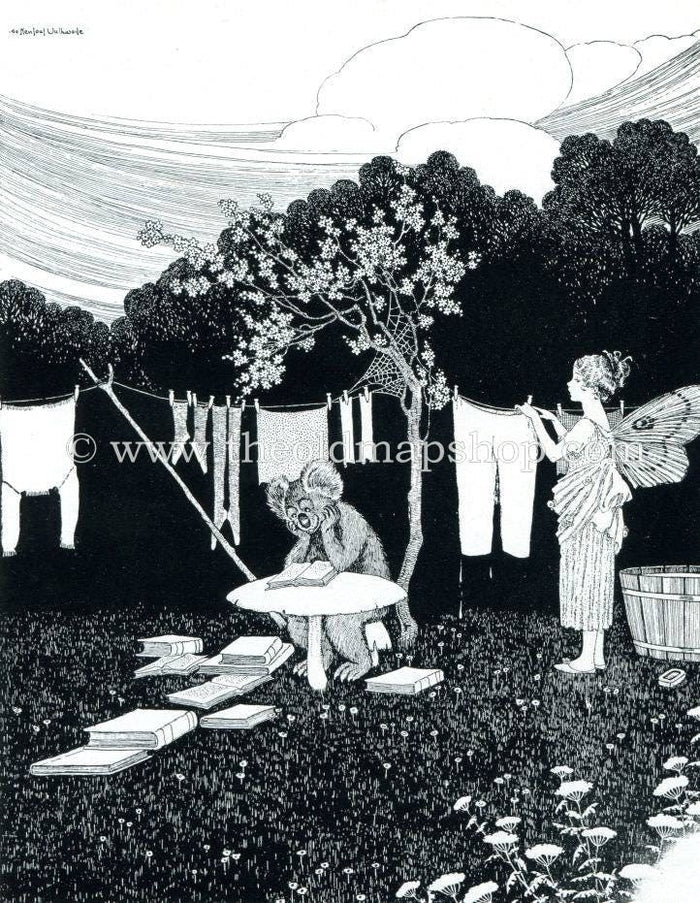 1921 Ida Rentoul Outhwaite Antique Fairy Print (Dr. Teddy-Bear At Home) Washing Line, Vintage Book Plate, from The Enchanted Forest