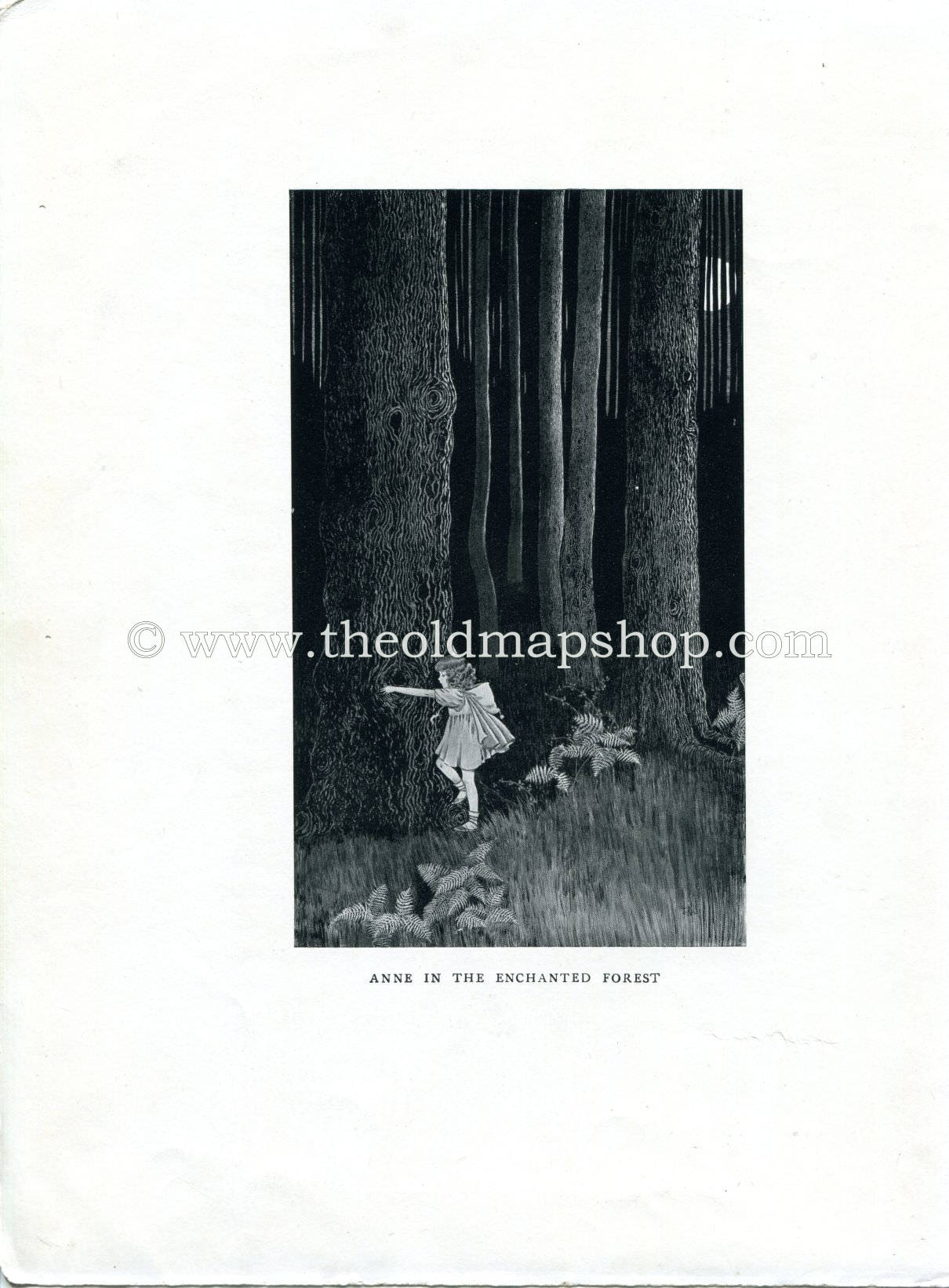 1925 Ida Rentoul Outhwaite Antique Fairy Print (Anne In The Enchanted Forest) Vintage Book Plate, from The Enchanted Forest