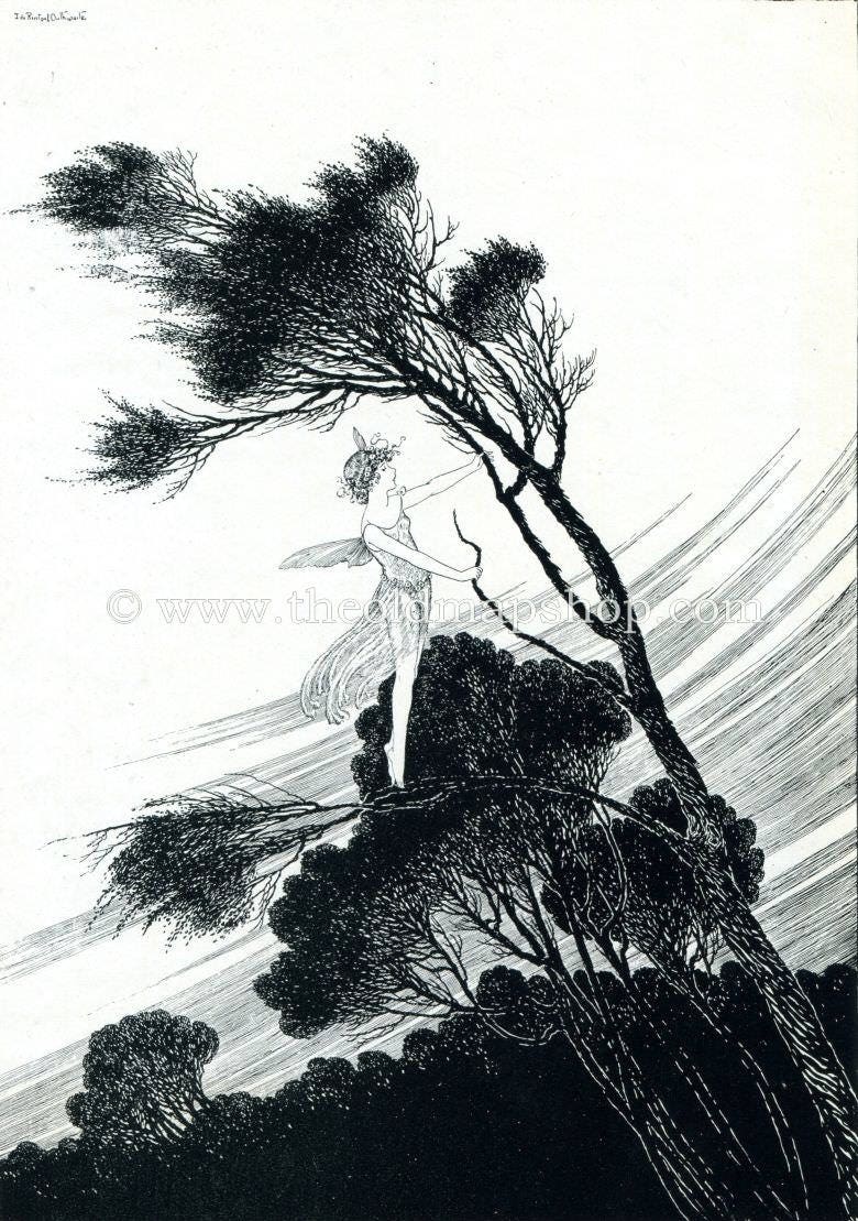 1921 Ida Rentoul Outhwaite Antique Fairy Print (The South Wind Fairy) Vintage Book Plate, from The Enchanted Forest