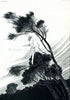 1921 Ida Rentoul Outhwaite Antique Fairy Print (The South Wind Fairy) Vintage Book Plate, from The Enchanted Forest