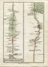 1790 John Cary Antique Road Map 3/4 Brentford, Hounslow, Belfont, Staines, Egham, Virginia Water, Bagshot, Windsor Great Park