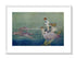 1921 Ida Rentoul Outhwaite Antique Fairy Print (Drawn By Fishes) Vintage Book Plate, from The Enchanted Forest
