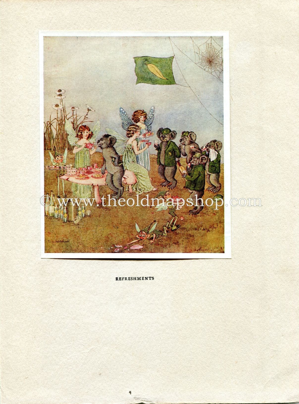 1925 Ida Rentoul Outhwaite Antique Fairy Print (Refreshments) Koala Bear, Vintage Book Plate, from The Enchanted Forest
