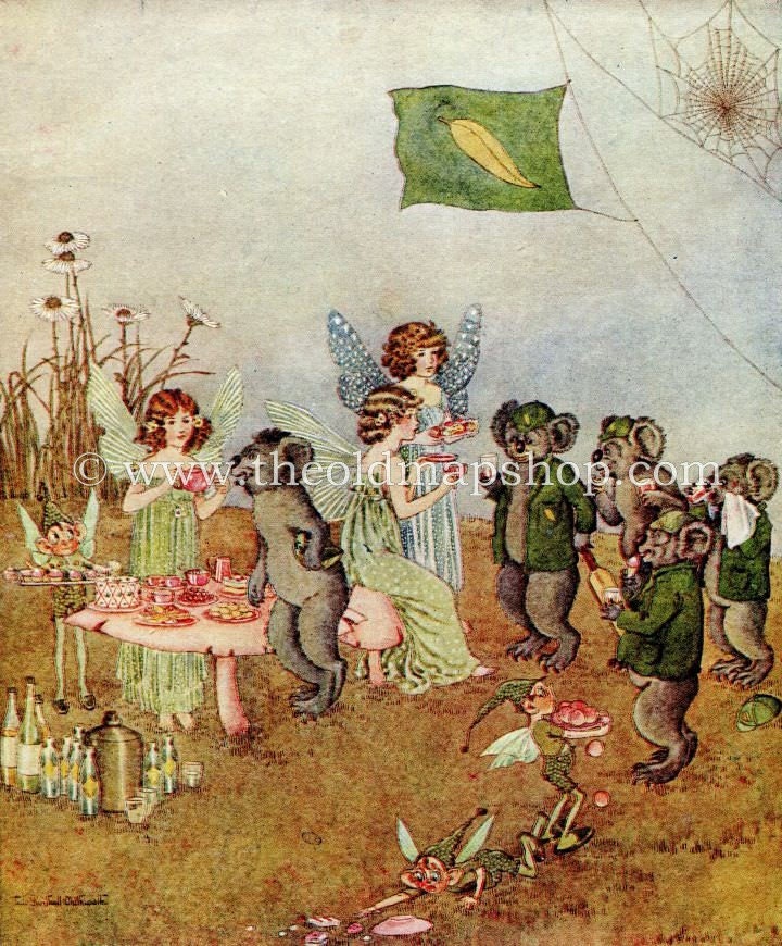 1925 Ida Rentoul Outhwaite Antique Fairy Print (Refreshments) Koala Bear, Vintage Book Plate, from The Enchanted Forest