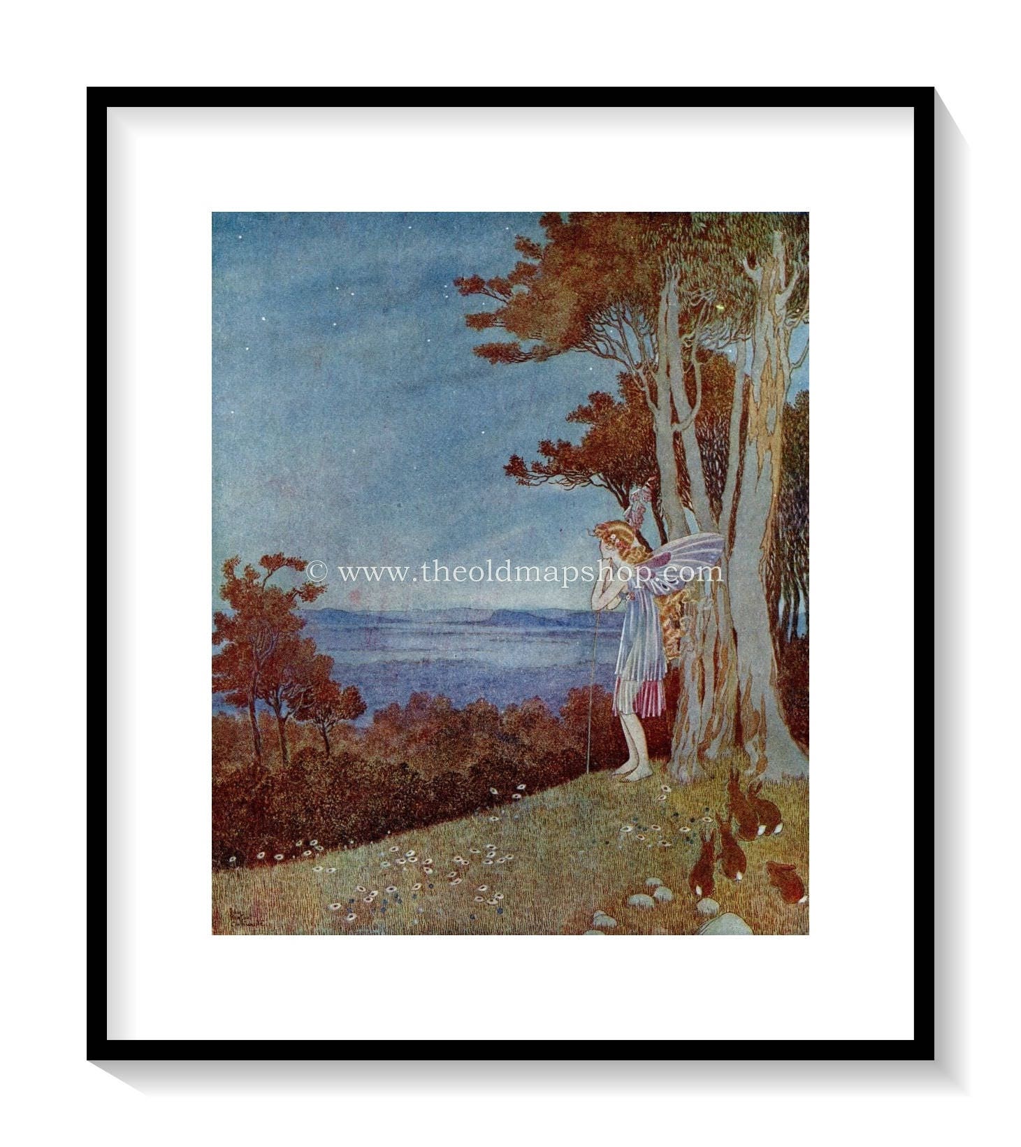1921 Ida Rentoul Outhwaite Antique Fairy Print (Fairy Beauty Looking Over The Happy Valley) Vintage Book Plate, from The Enchanted Forest