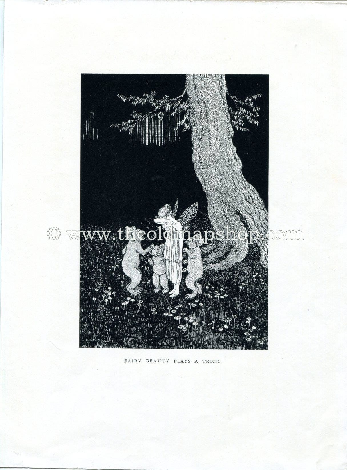 1925 Ida Rentoul Outhwaite Antique Fairy Print (Fairy Beauty Plays A Trick) Vintage Book Plate, from The Enchanted Forest