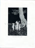 1925 Ida Rentoul Outhwaite Antique Fairy Print (Fairy Beauty Plays A Trick) Vintage Book Plate, from The Enchanted Forest