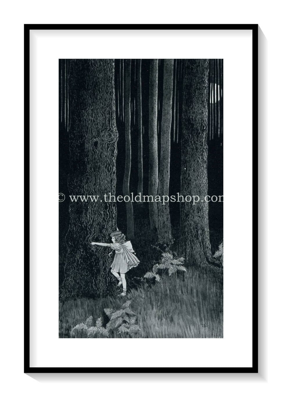1925 Ida Rentoul Outhwaite Antique Fairy Print (Anne In The Enchanted Forest) Vintage Book Plate, from The Enchanted Forest
