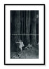 1925 Ida Rentoul Outhwaite Antique Fairy Print (Anne In The Enchanted Forest) Vintage Book Plate, from The Enchanted Forest