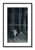 1921 Ida Rentoul Outhwaite Antique Fairy Print (Anne In The Enchanted Forest) Vintage Book Plate, from The Enchanted Forest