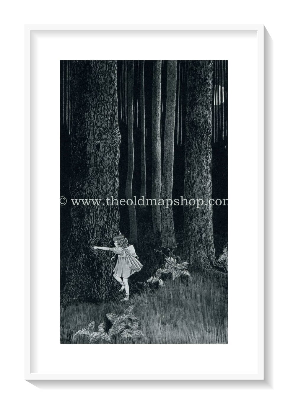 1925 Ida Rentoul Outhwaite Antique Fairy Print (Anne In The Enchanted Forest) Vintage Book Plate, from The Enchanted Forest