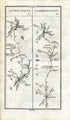 1778 Taylor & Skinner Antique Ireland Road Map 245/246 Mullingar, Collinstown, Crossakiel, Kells, Trim, Navan, Athboy, Westmeath, Meath