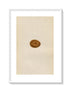 Morris Antique Birds Egg Print, Merlin, 1867 Book Plate XVI