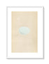 Morris Antique Birds Egg Print, Goshawk, 1867 Book Plate XVIII
