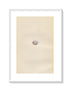 Morris Antique Birds Egg Print, Bunting, 1867 Book Plate LXXVI