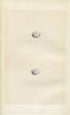 Morris Antique Birds Egg Print, Cirl Bunting & Ortolan, 1867 Book Plate LXXIX