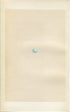 Morris Antique Birds Egg Print, Siskin, 1867 Book Plate LXXXVII