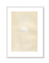 Morris Antique Birds Egg Print, Passenger Pigeon, 1867 Book Plate CXXXVI