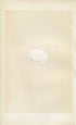 Morris Antique Birds Egg Print, Passenger Pigeon, 1867 Book Plate CXXXVI
