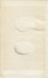 Morris Antique Birds Egg Print, White Stork & Black Stork, 1867 Book Plate CLXII