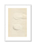 Morris Antique Birds Egg Print, White Stork & Black Stork, 1867 Book Plate CLXII