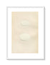 Morris Antique Birds Egg Print, Teal, Wigeon, 1867 Book Plate CXCII
