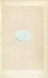 Morris Antique Birds Egg Print, Goshawk, 1867 Book Plate XVIII