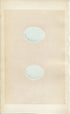 Morris Antique Birds Egg Print, Hen Harrier & Montagu's Harrier, 1867 Book Plate XXI