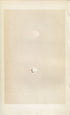 Morris Antique Birds Egg Print, Wryneck & Creeper, 1867 Book Plate LII