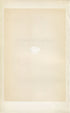 Morris Antique Birds Egg Print, Purple Martin, 1867 Book Plate LXII