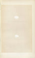 Morris Antique Birds Egg Print, Martin & Sand Martin, 1867 Book Plate LXIII