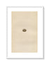 Morris Antique Birds Egg Print, Rock Pipit, 1867 Book Plate LXXI