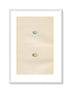 Morris Antique Birds Egg Print, Mountain Finch, 1867 Book Plate LXXXI