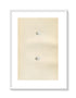 Morris Antique Birds Egg Print, Mealy Redpole & Twite, 1867 Book Plate XC