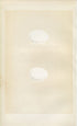 Morris Antique Birds Egg Print, Wood Pigeon & Stock Dove, 1867 Book Plate CXXXIV