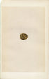 Morris Antique Birds Egg Print, Andalusian Quail, 1867 Book Plate CXLV