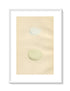 Morris Antique Birds Egg Print, Little Egret & Great White Heron, 1867 Book Plate CLIX
