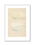 Morris Antique Birds Egg Print, Grey-Lag Goose, Bean Goose, 1867 Book Plate CLXXXIII