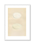 Morris Antique Birds Egg Print, Shieldrake & Ruddy Shieldrake, 1867 Book Plate CLXXXIX