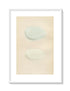 Morris Antique Birds Egg Print, Eider Duck, King Duck, 1867 Book Plate CXCIII
