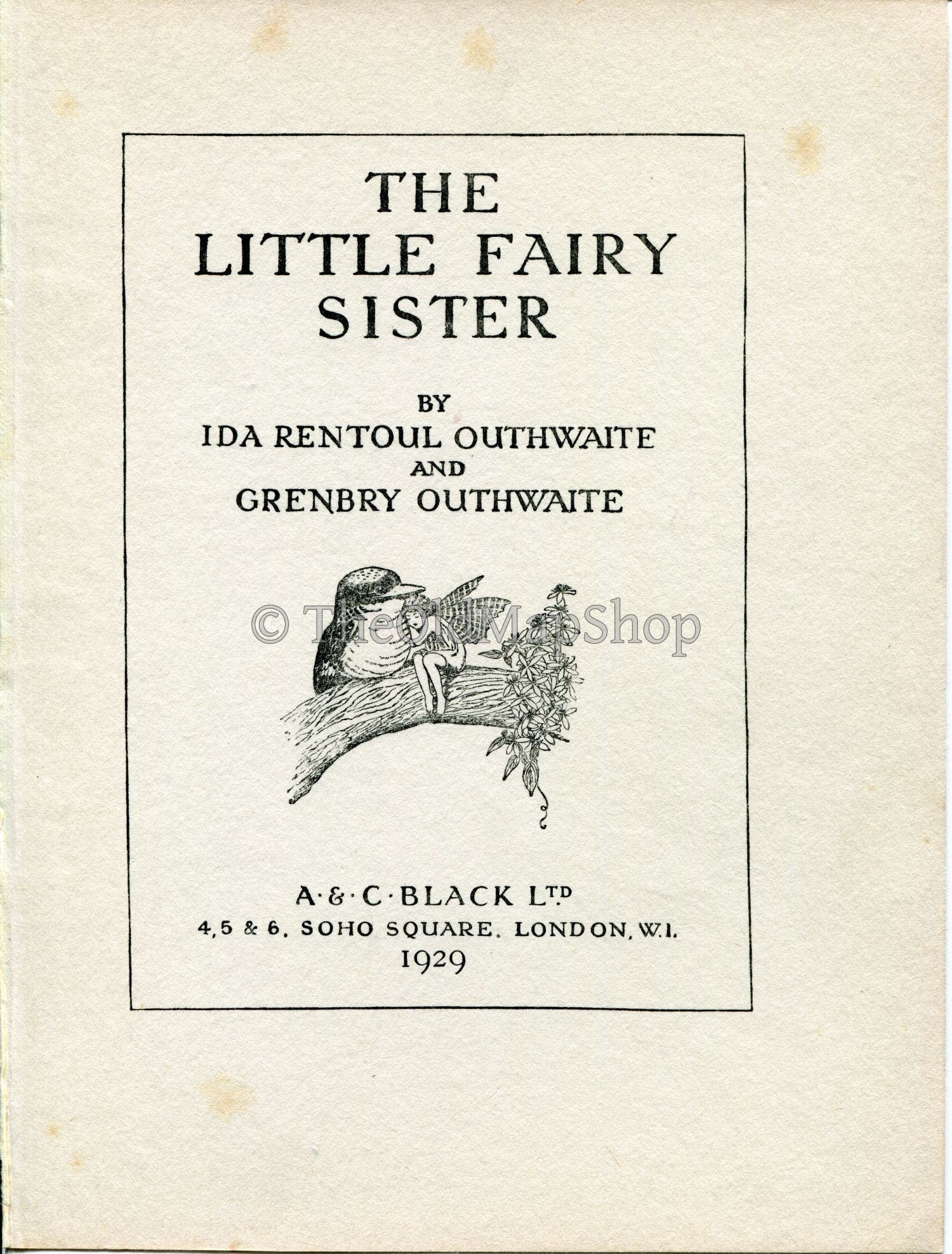 1929 Ida Rentoul Outhwaite Vintage Fairy Print (A Flock of Little Birds Twittering and Chirping Trying..) Book Plate The Little Fairy Sister