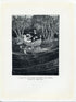 1929 Ida Rentoul Outhwaite Vintage Fairy Print (A Flock of Little Birds Twittering and Chirping Trying..) Book Plate The Little Fairy Sister
