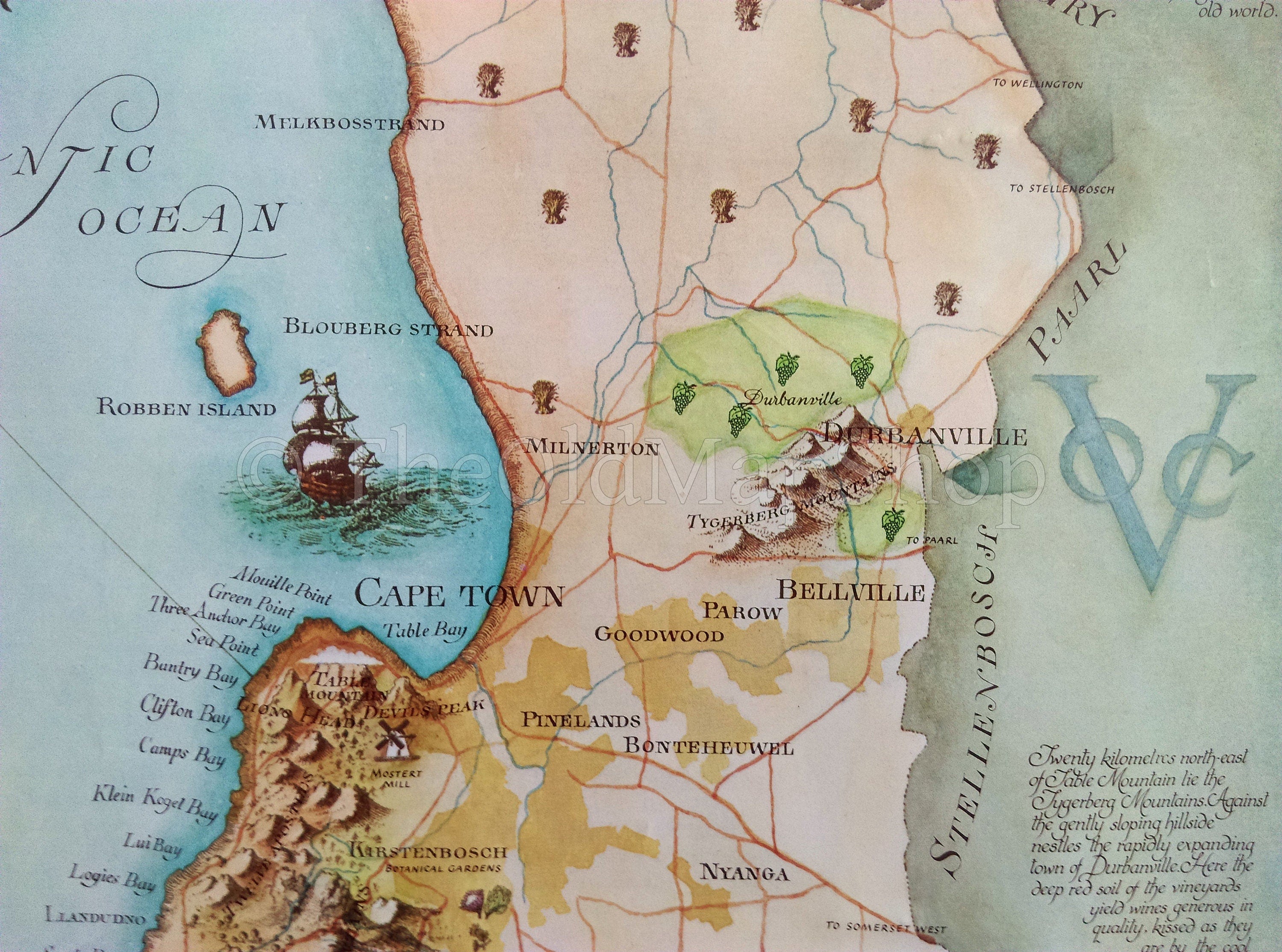 South Africa, Cape Town, Constantia & Durbanville Wine Region Vinyard Winery Map, 1973 Janice Ashby Pictorial Map, Poster, Robben Island